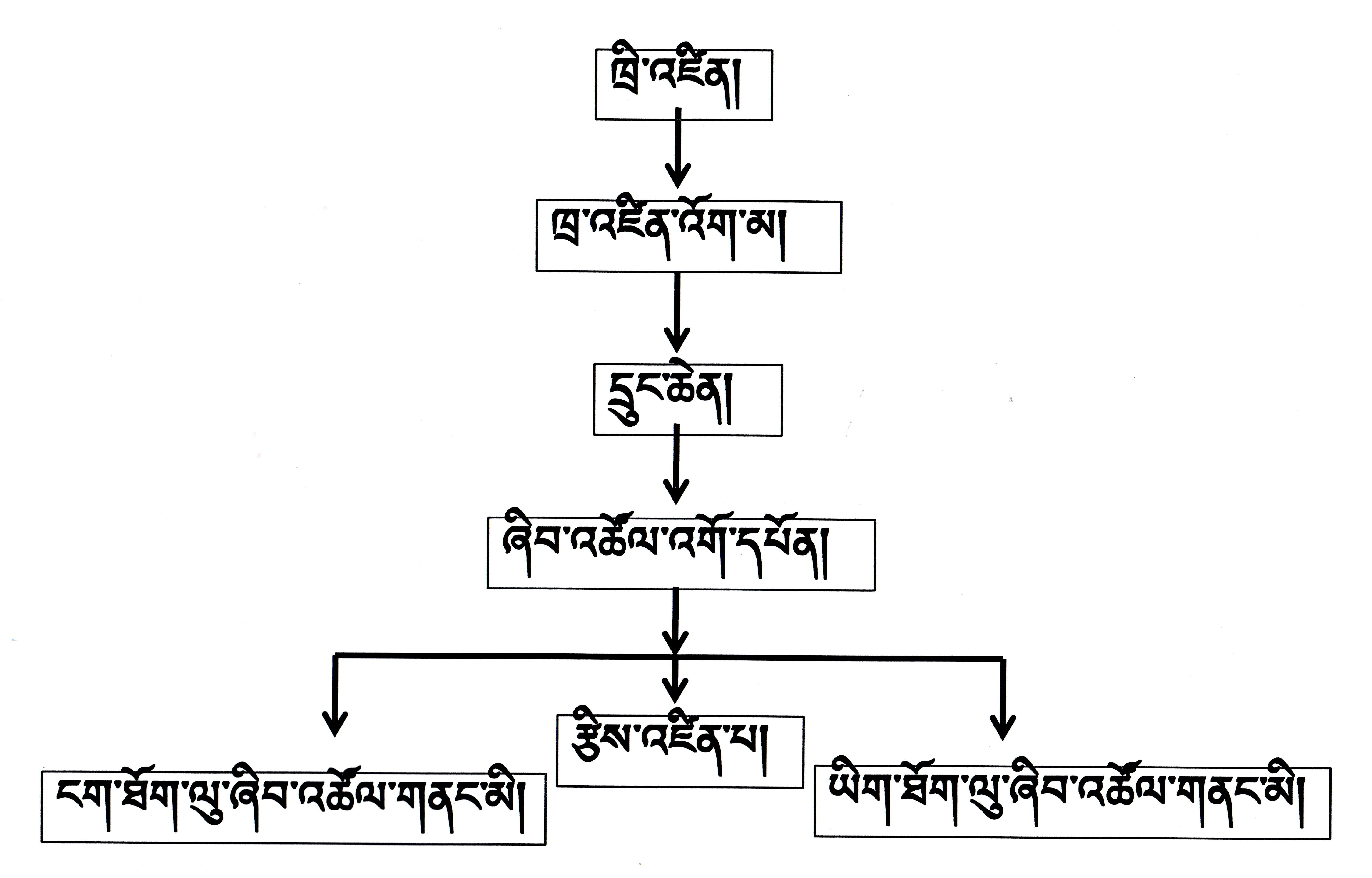 organi.jpg